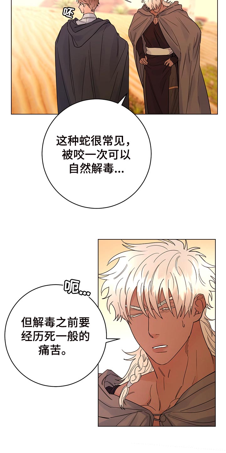 主人的宠物漫画另一个名字漫画,第111章：【番外】毒蛇1图