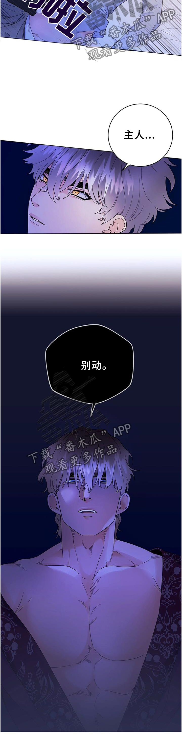 主人的宠物 漫画漫画,第33章：归来2图