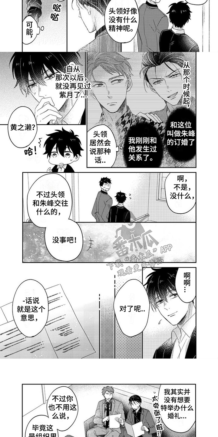 贤婿的含义漫画,第19章：欺骗1图