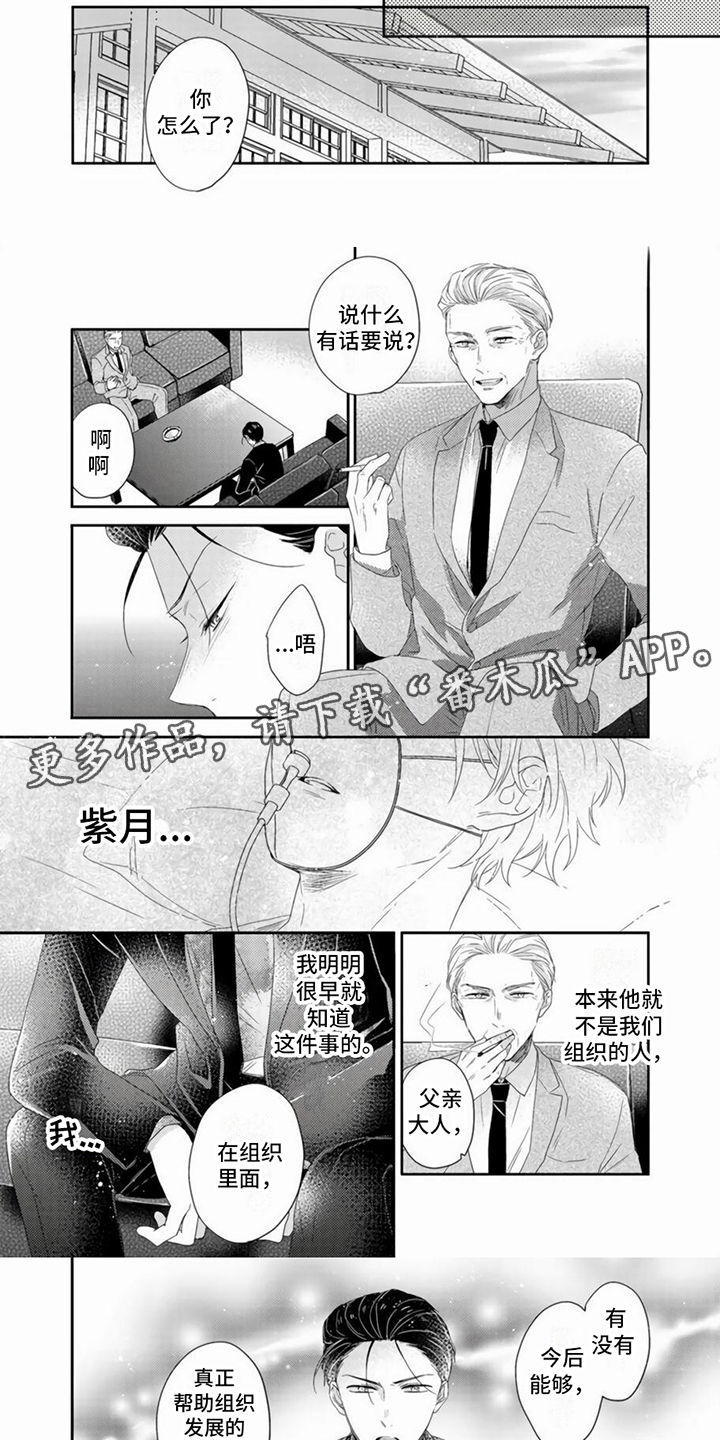 贤婿洞在哪里漫画,第13章：下定决心2图