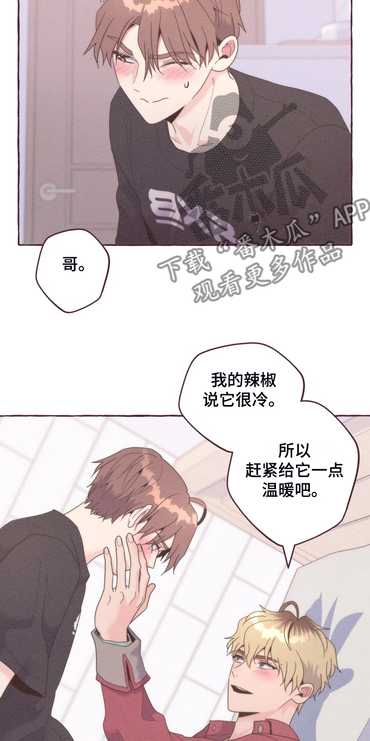 明日晴れるかな 歌词漫画,第40章：没有过的2图