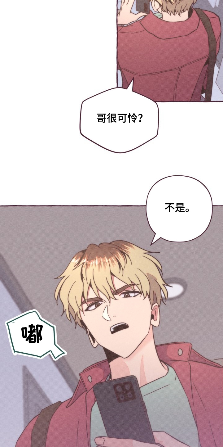 明日的猪价早知道漫画,第35章：你不要欺负他2图