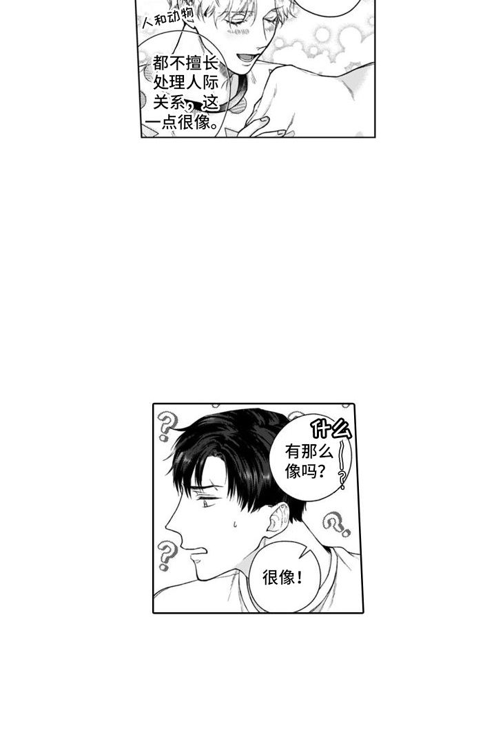 我的依靠日文漫画,第49章：很像1图