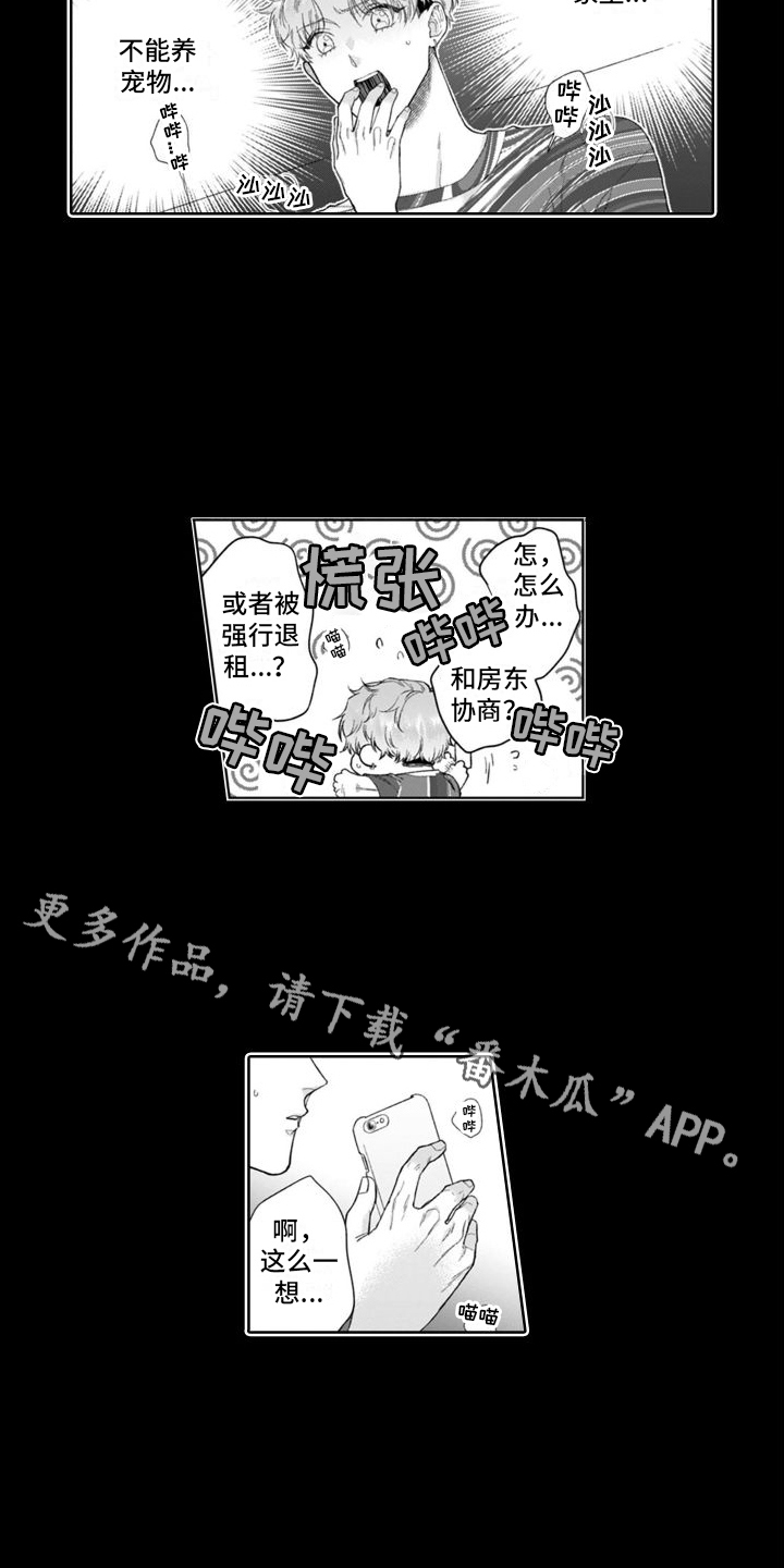 我的团长我的团漫画,第46章：付出努力2图