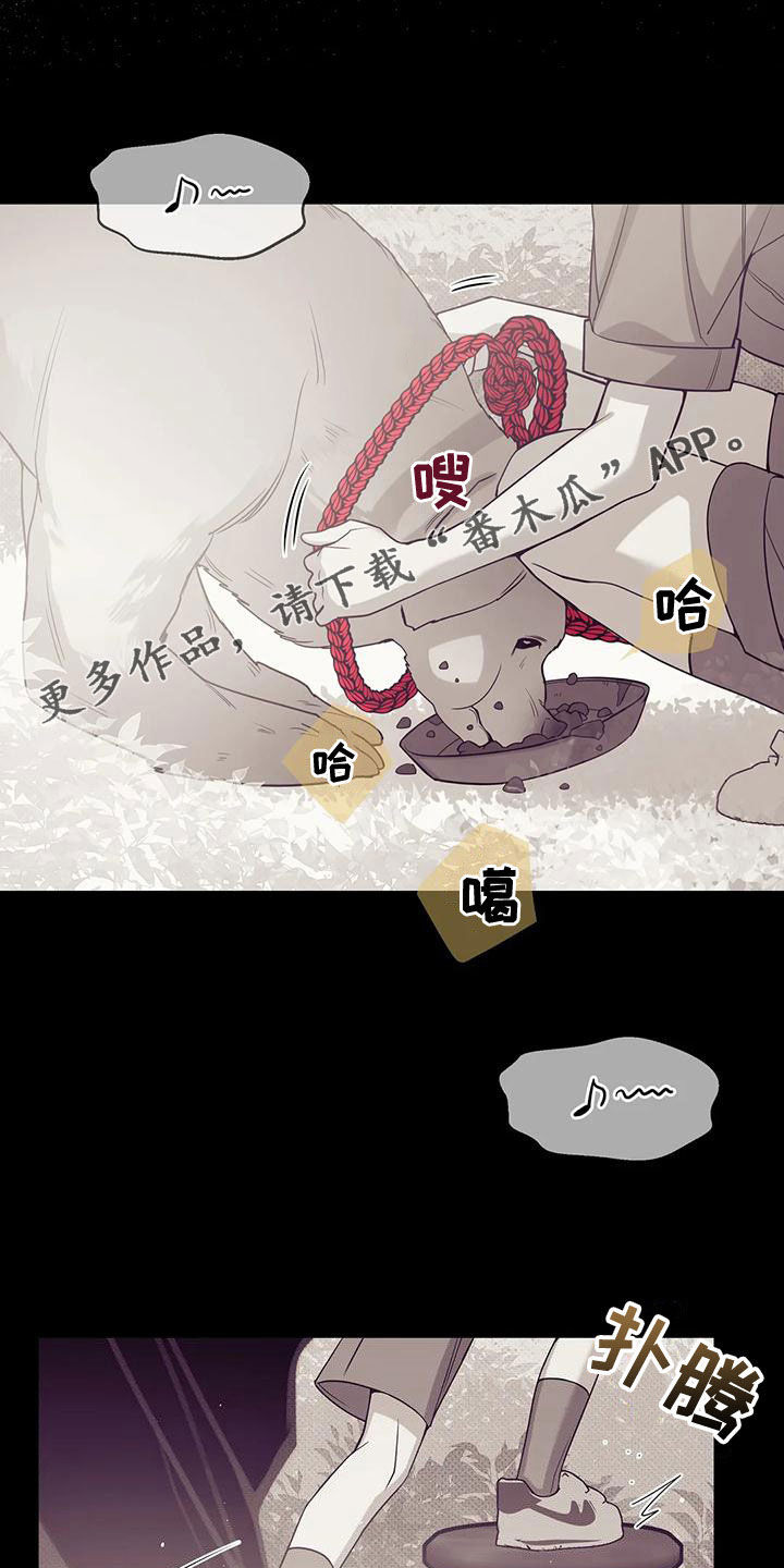 贝壳少年漫画,第128章：【第三季】好好休息吧2图