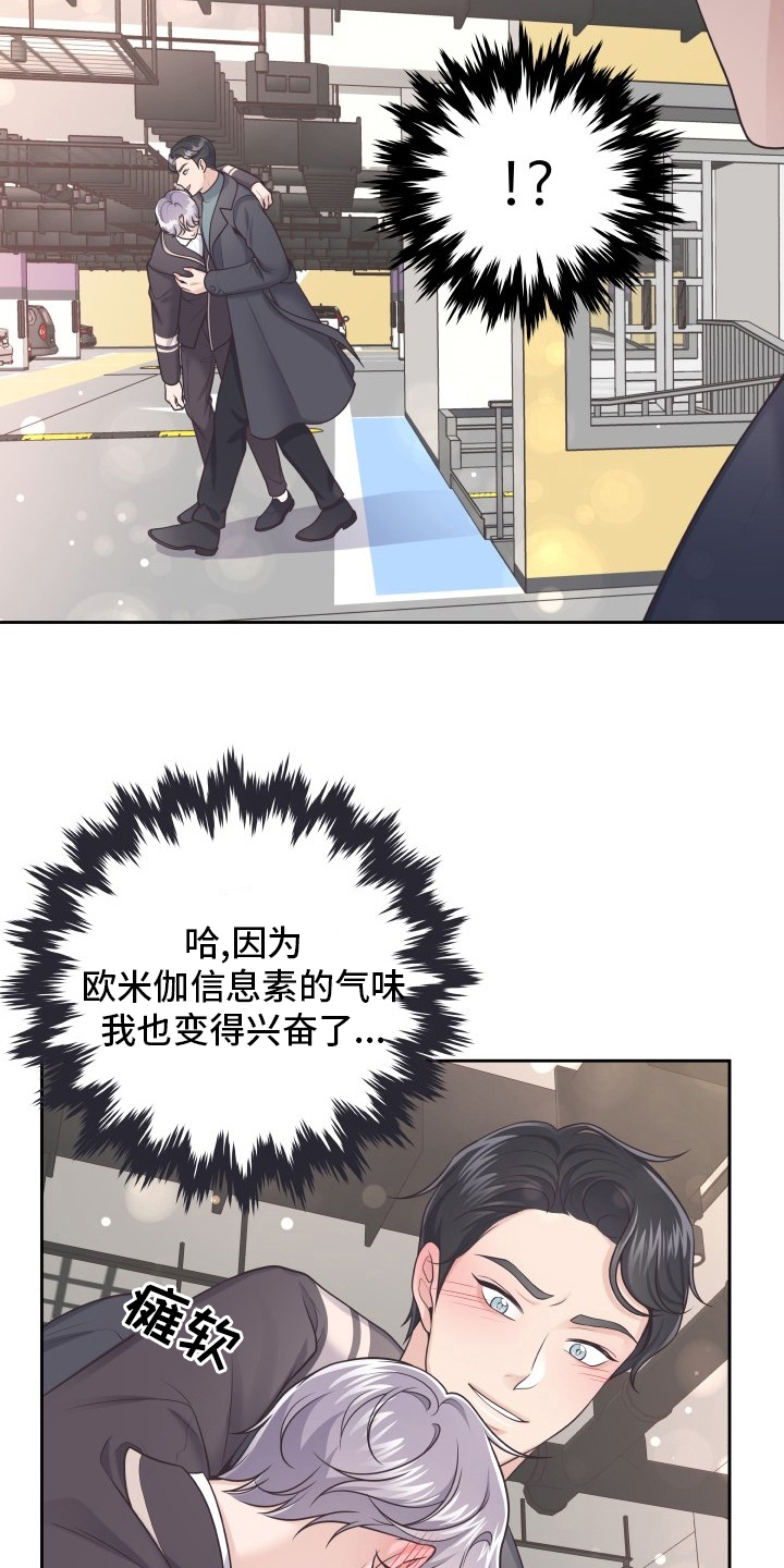 阿尔法罗密欧多少钱漫画,第54章：欧米伽2图