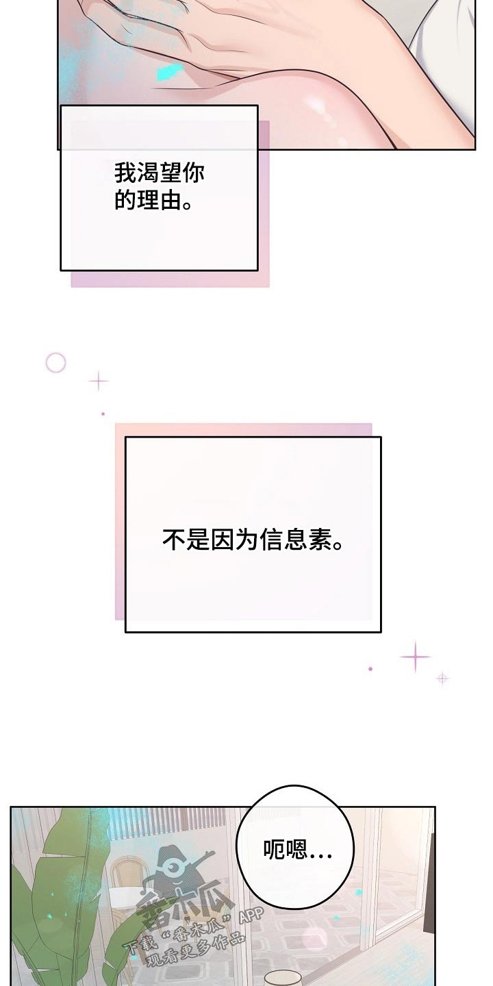 阿尔法罗密欧多少钱漫画,第103章：【第二季】不要讨厌我2图