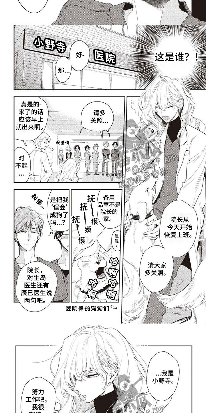 游戏重启攻略大全漫画,第20章：生岛医生2图