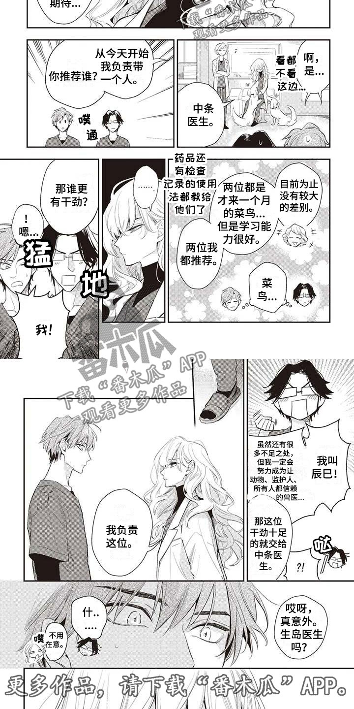 游戏重启攻略大全漫画,第20章：生岛医生1图