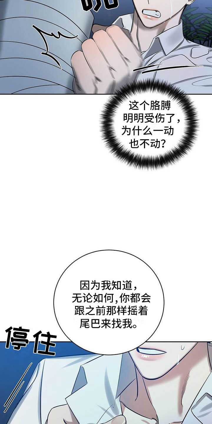 恶意降临漫画完整版在线观看漫画,第25章：一起洗1图