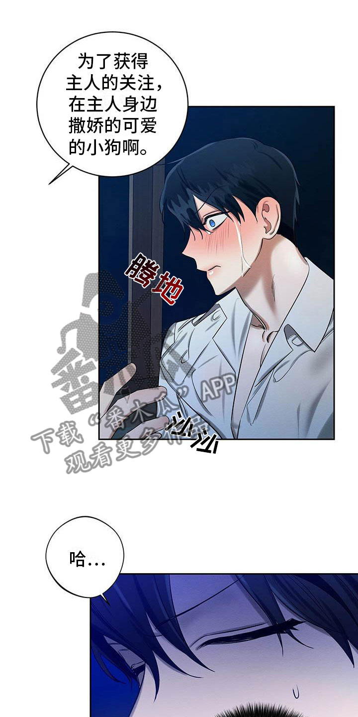 恶意降临漫画完整版在线观看漫画,第25章：一起洗1图