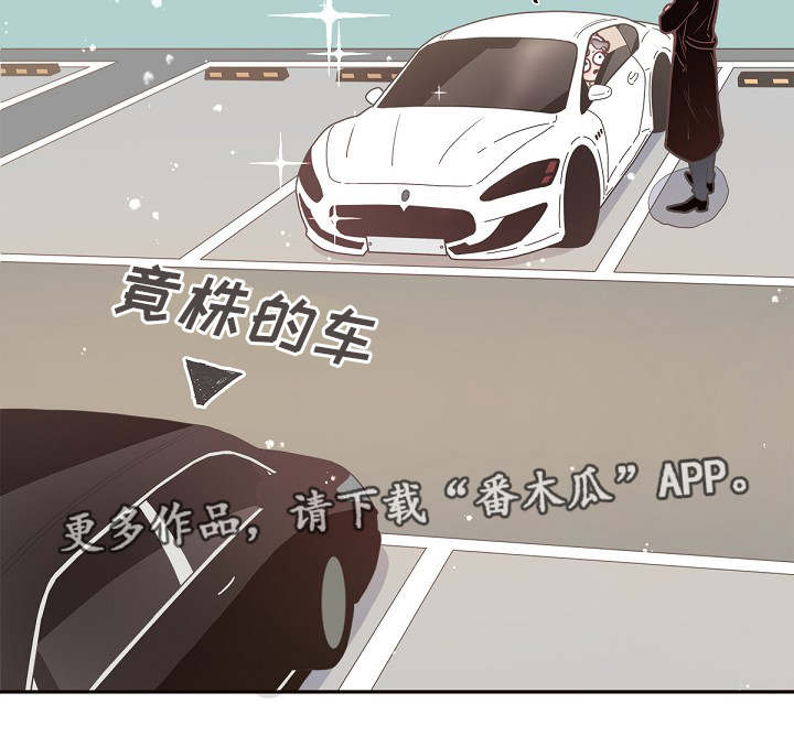 绳编非遗漫画,第7章：跟踪1图