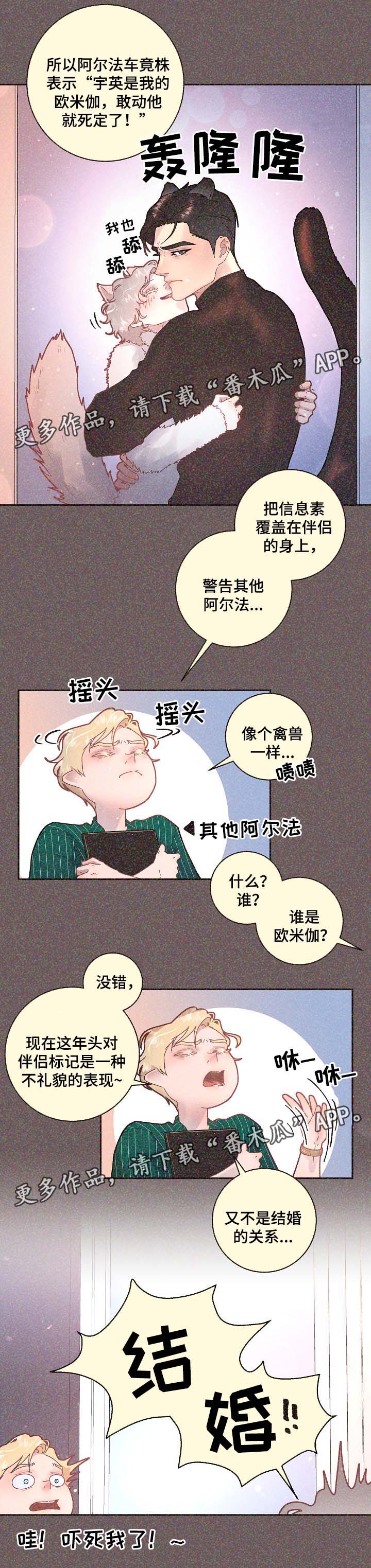 中朝关系突然生变漫画,第68章：标记是什么1图