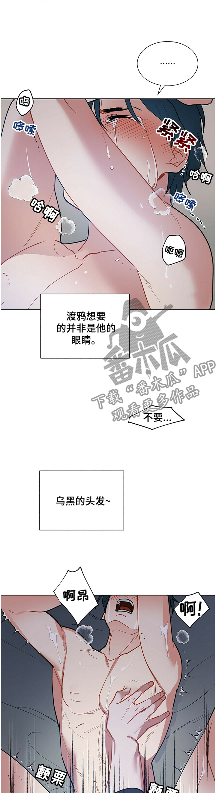 黑多漫画,第56章：原来如此2图