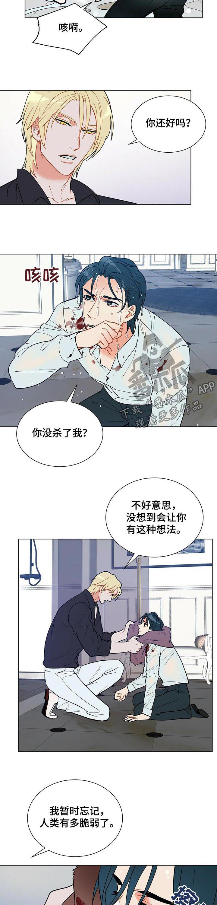 黑渡鸦韩漫又名叫什么漫画,第51章：赶紧许愿2图