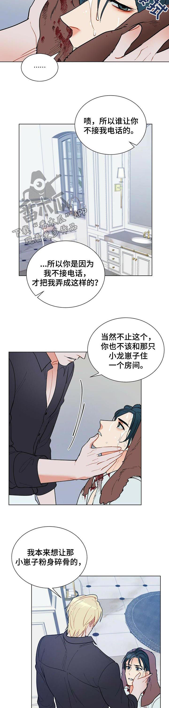 黑渡鸦情侣名字叫什么漫画,第51章：赶紧许愿1图