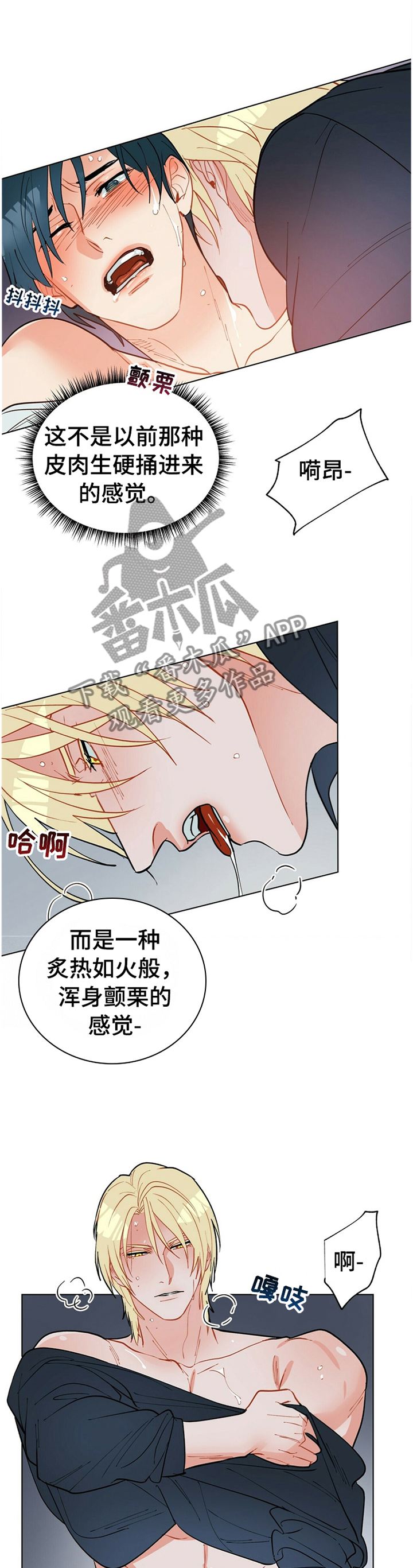 黑多漫画,第67章：告诉我,我是谁2图