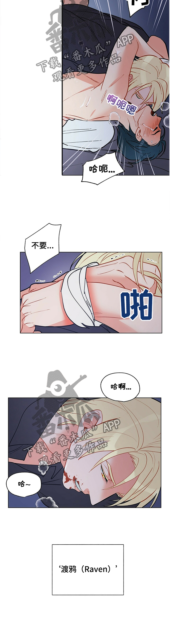 黑多漫画,第56章：原来如此2图