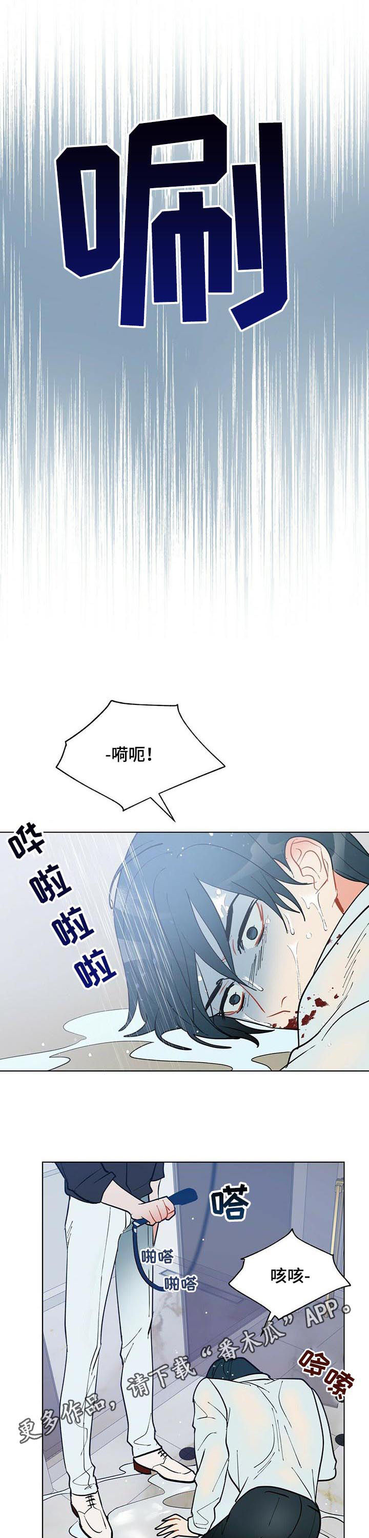 黑渡鸦韩漫又名叫什么漫画,第51章：赶紧许愿1图