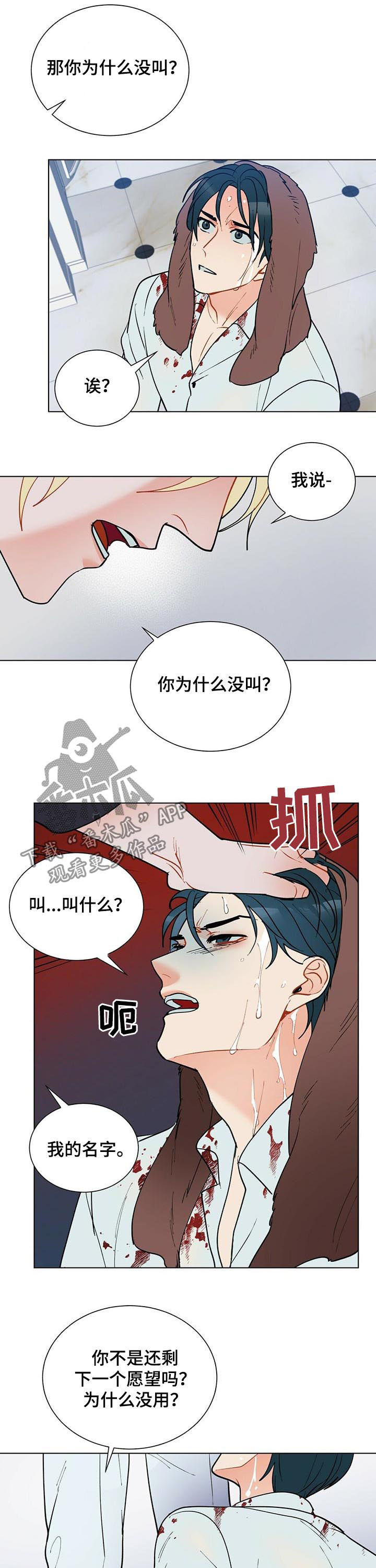 黑渡鸦情侣名字叫什么漫画,第51章：赶紧许愿1图