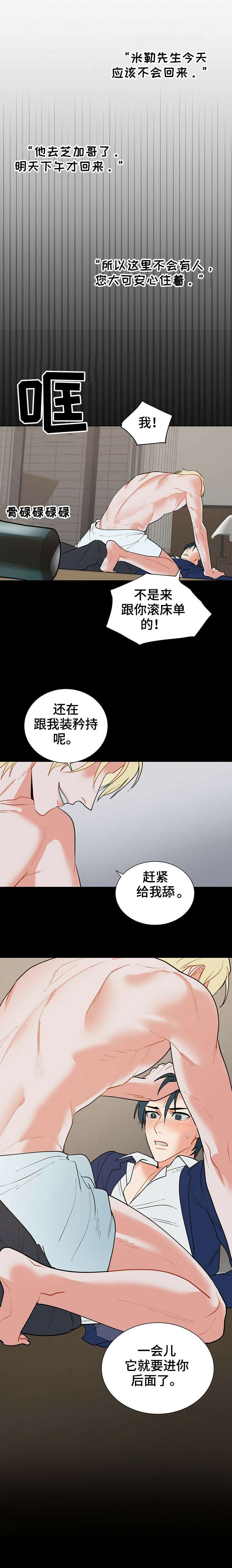 黑渡鸦的寓意漫画,第20章：好感1图