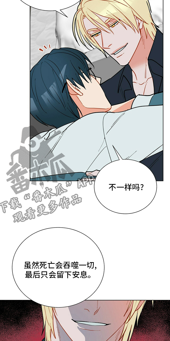 黑度测量漫画,第112章：【番外完结】幸福的滋味2图