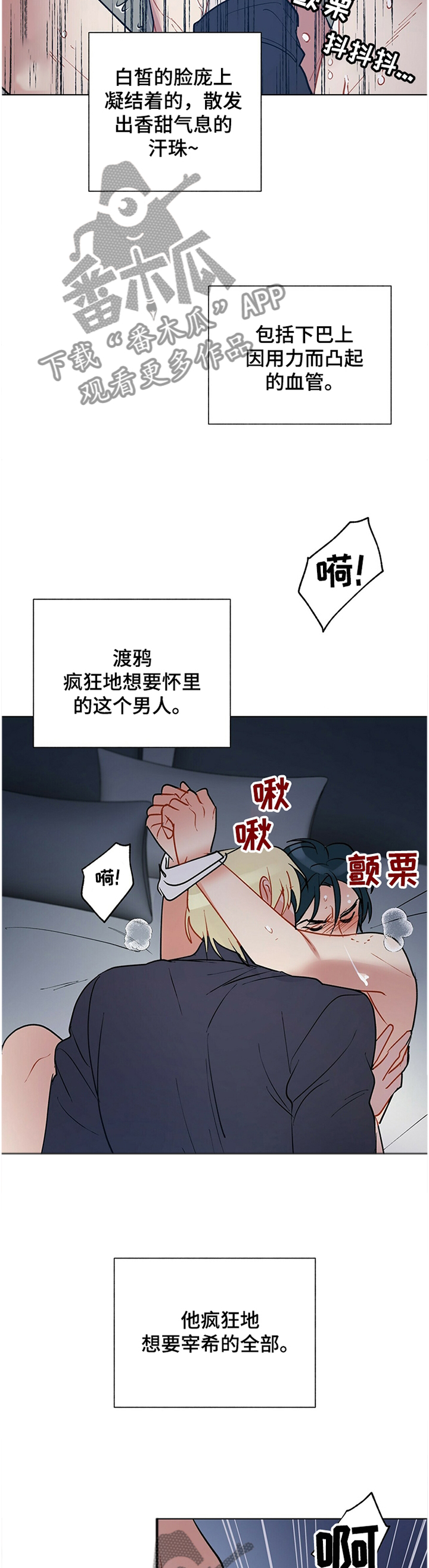 黑多漫画,第56章：原来如此1图