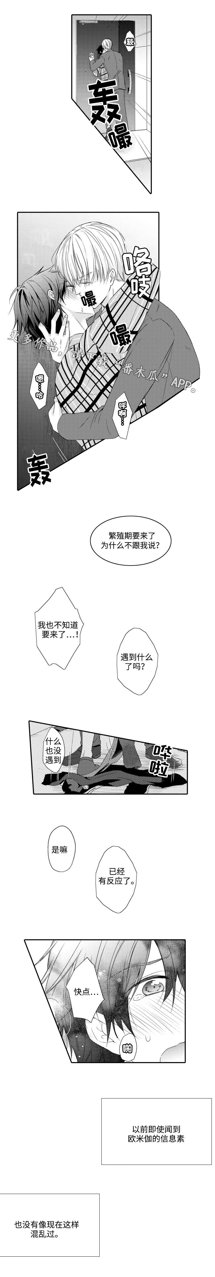 缔结关系漫画,第11章：期待2图