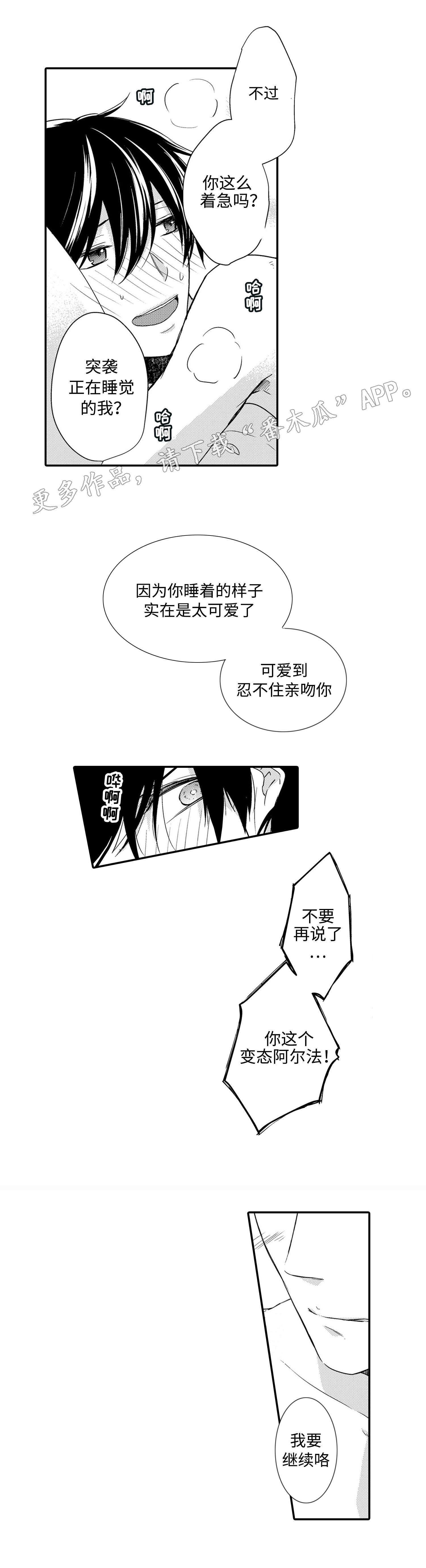 缔结封君封臣关系的仪式图片漫画,第19章：项链2图