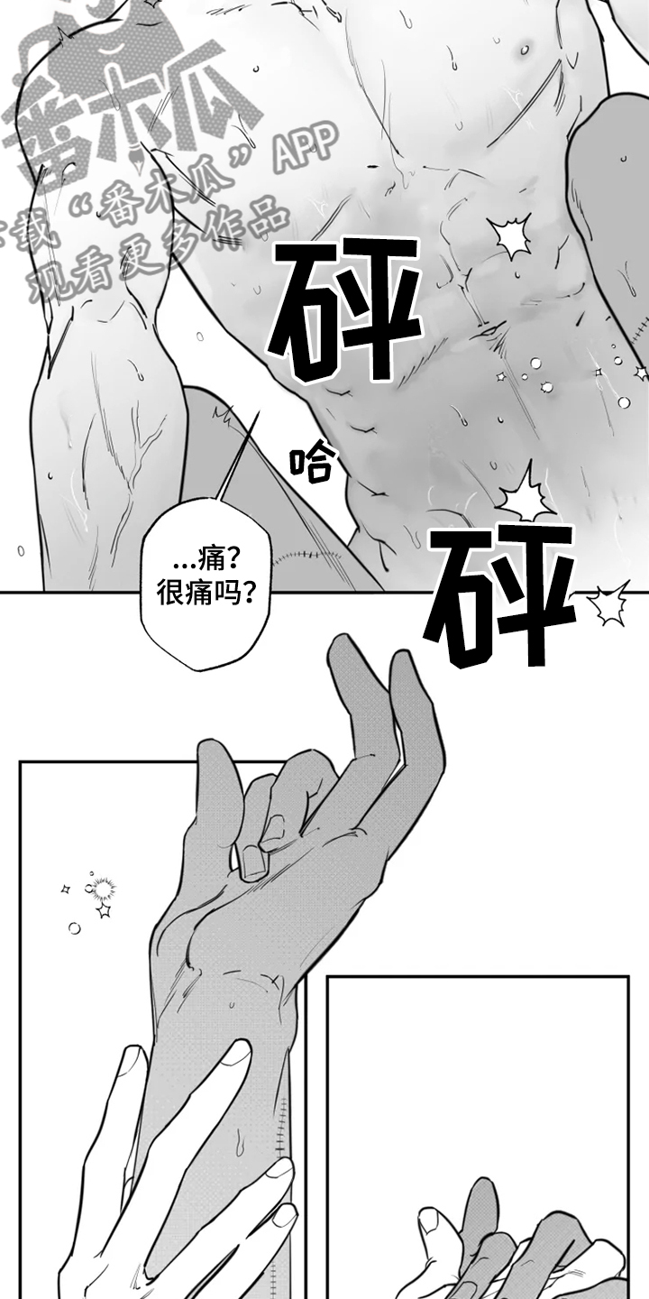 毒性物质性质常数abn查询漫画,第41章：6年前2图