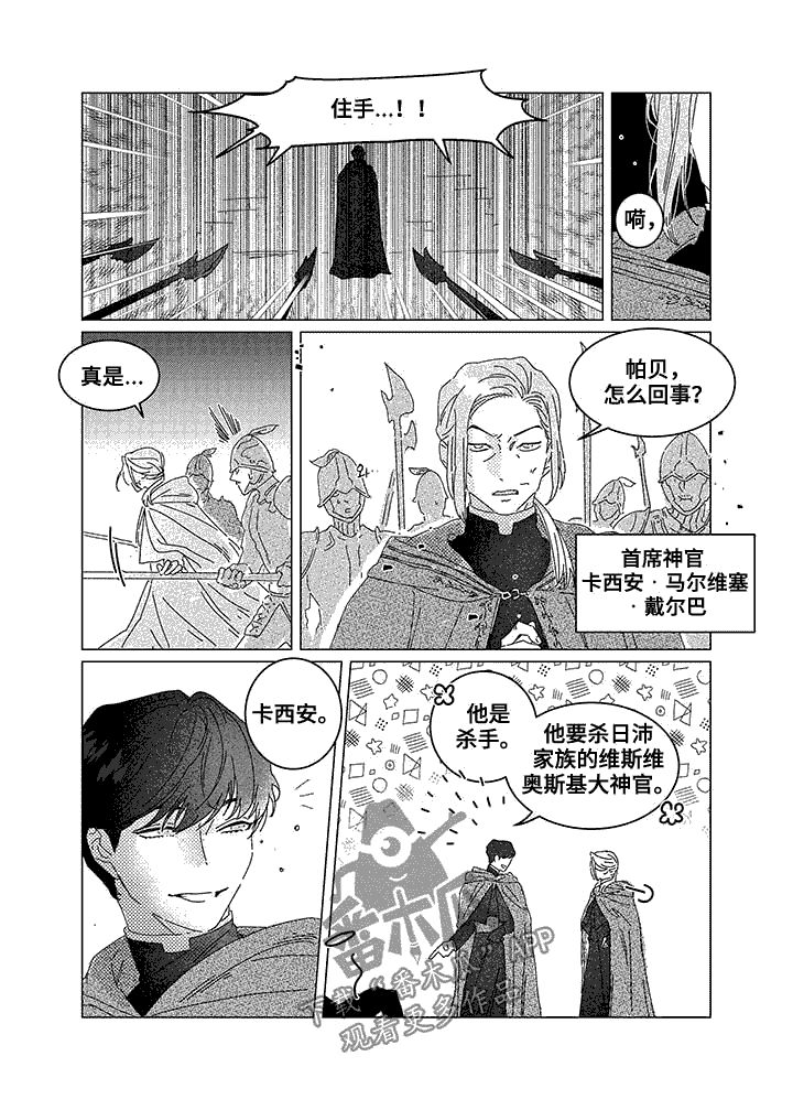 圣痕炼金士第一季免费观看完整版漫画,第8章：新王的剑1图