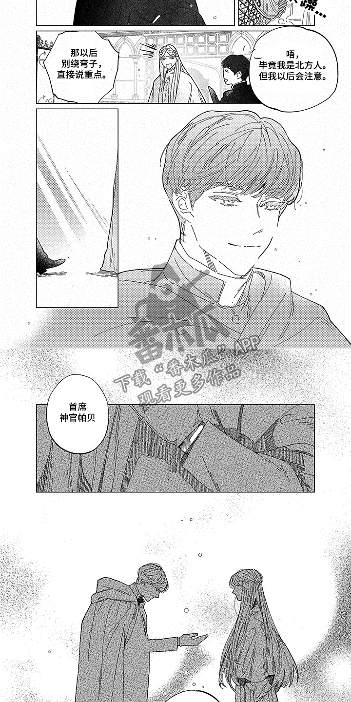 圣痕炼金士第二季在线观看漫画,第13章：加冕2图