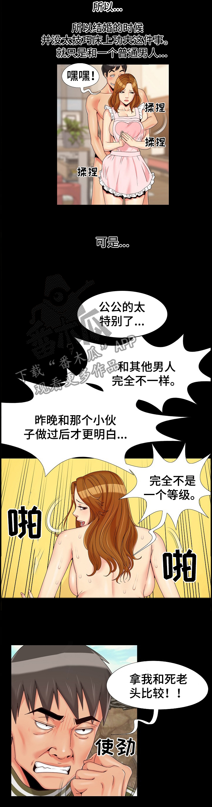 密谋遗产Nalx漫画,第30章：对比2图