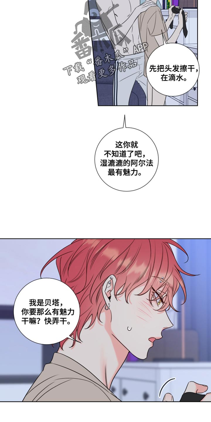 麻烦的爱情漫画,第16章：最有魅力的阿尔法1图