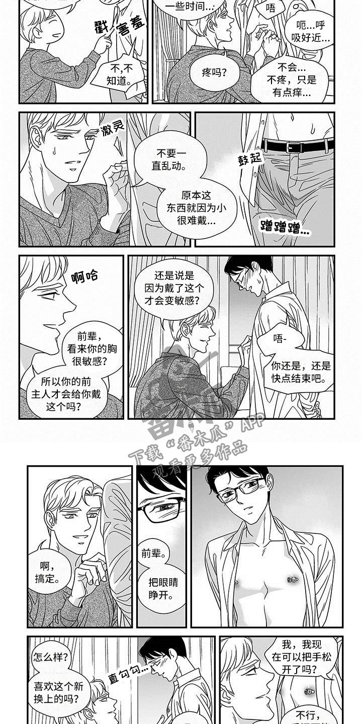 红色密封胶多久能干漫画,第17章：潜质2图