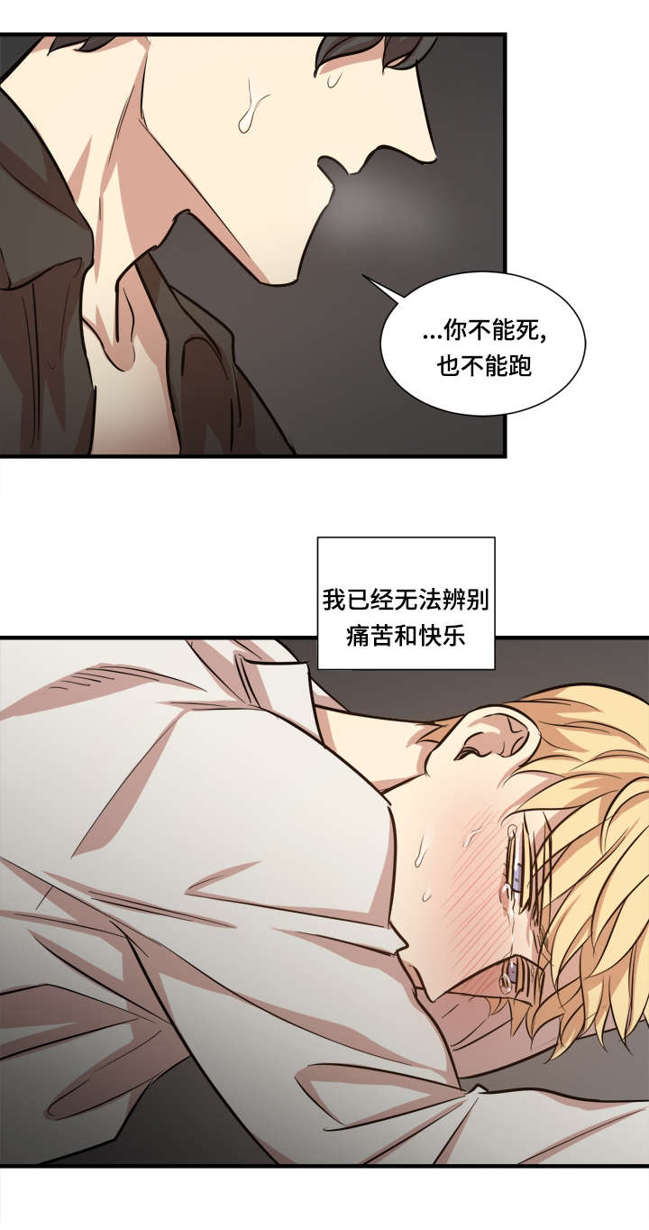 通敌谋反漫画,第38章：时机到了1图