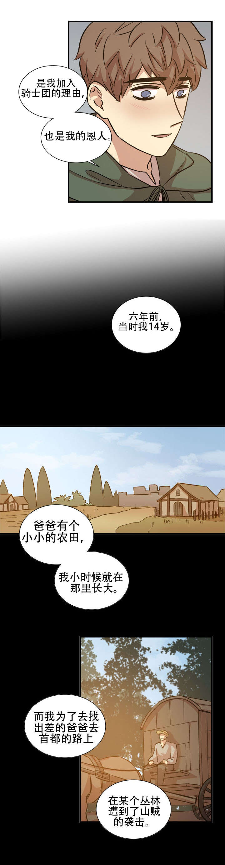 通敌三件套漫画,第20章：骑士团2图