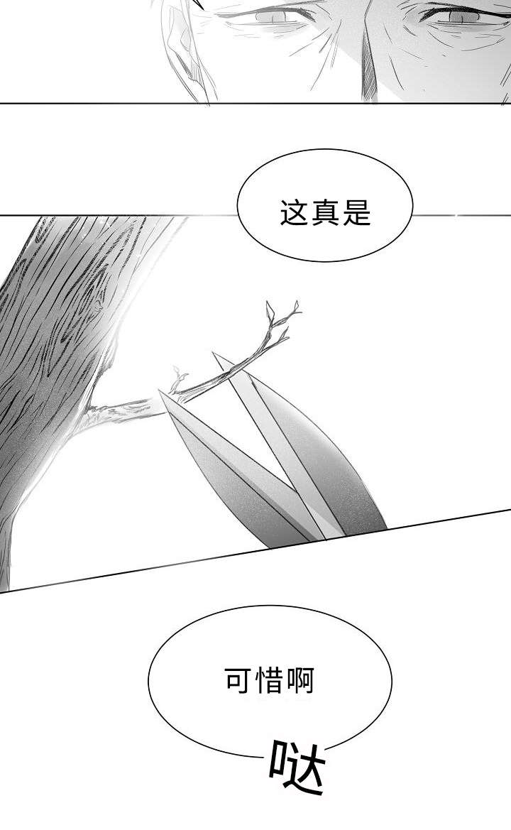 柳云龙谍战剧大全漫画,第11章：护着2图