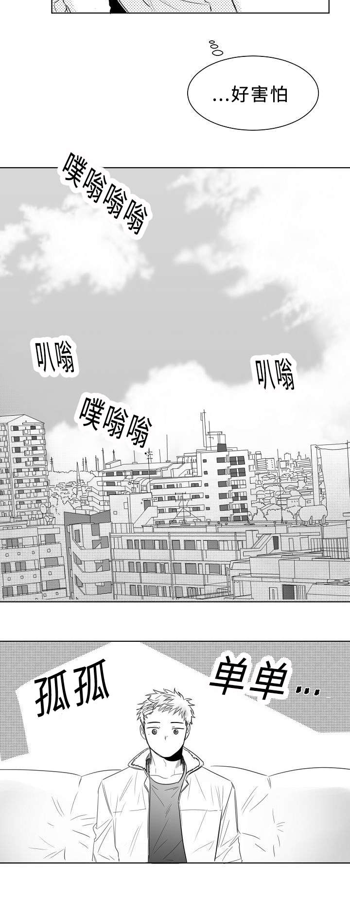 柳云鹤长什么样漫画,第7章：报告书1图