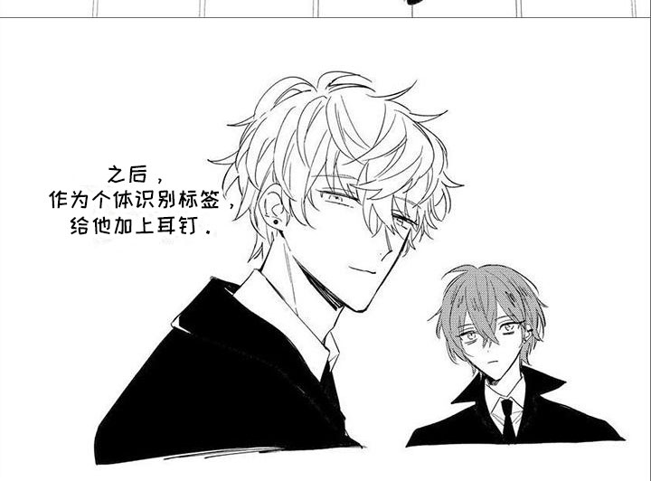 狼人当道漫画,第5章：陪着你1图