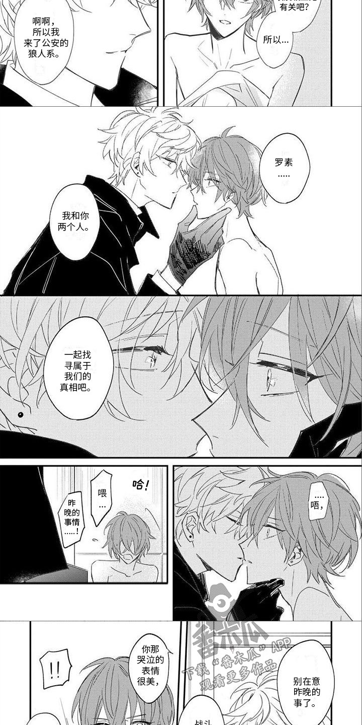 狼人当道漫画,第13章：一起寻找1图