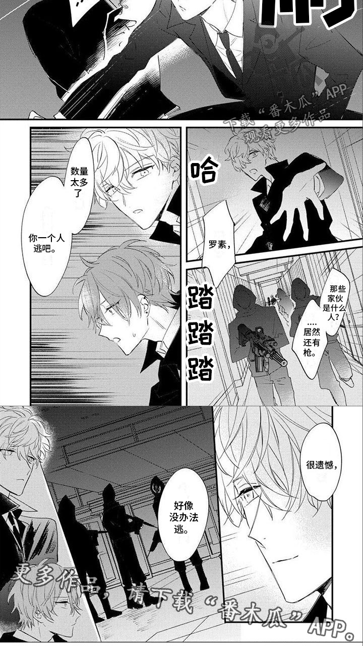 狼人当道漫画,第19章：遇刺2图