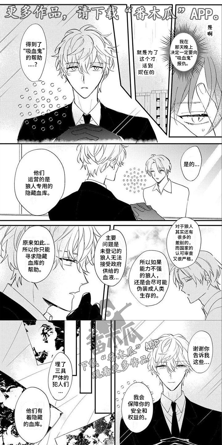 狼人当道漫画,第19章：遇刺1图
