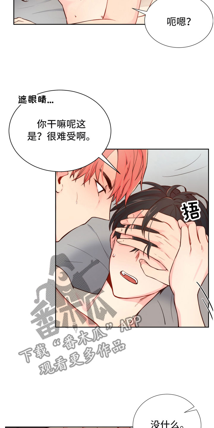 禁止恋爱的世界讲的是什么漫画,第15章：保持一致2图