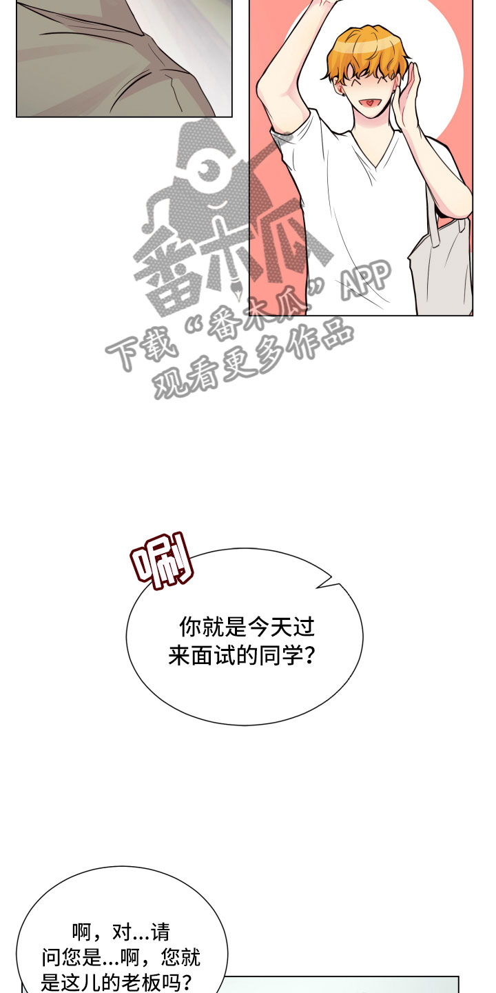 禁止恋爱的动漫吻戏漫画,第13章：面试合格2图