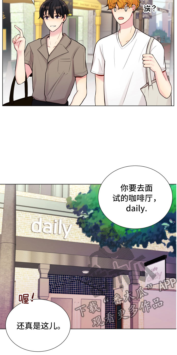 选择恋爱对象的五条标准漫画,第13章：面试合格2图