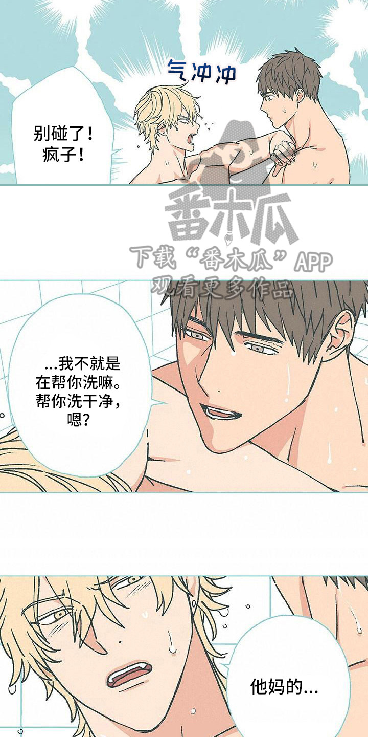 粉丝属于蔬菜吗漫画,第13章：弄干净2图