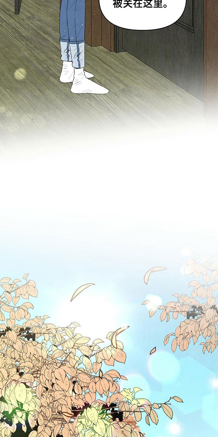 丹尼尔与黑帮漫画,第134章：地下室1图