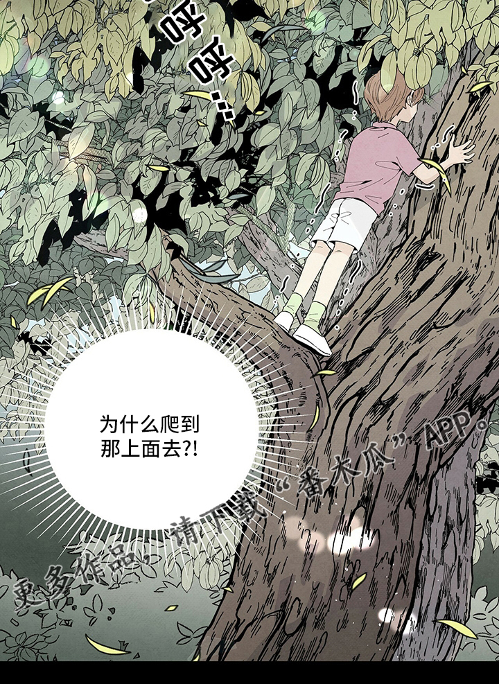 丹尼尔与黑帮小漫画漫画,第101章：抱团1图