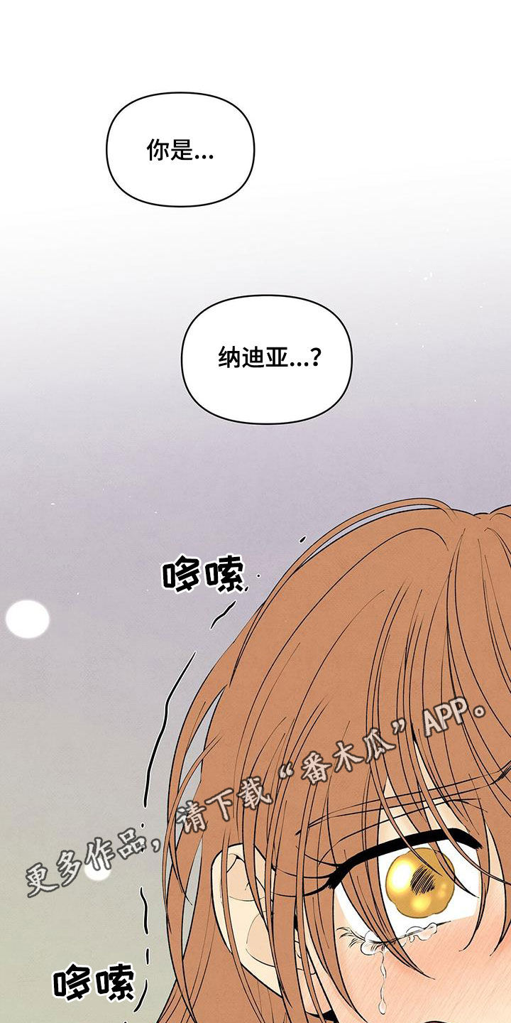 丹尼尔与黑帮漫画,第134章：地下室1图